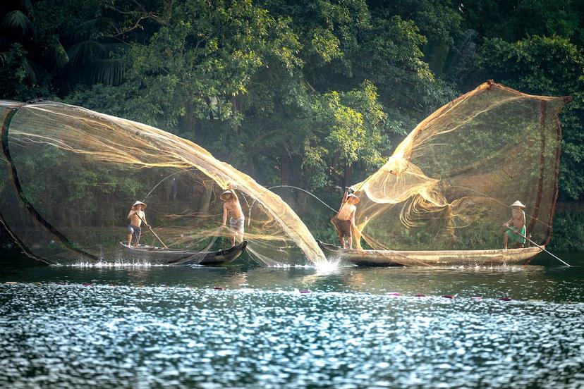 Aquaculture Supplies