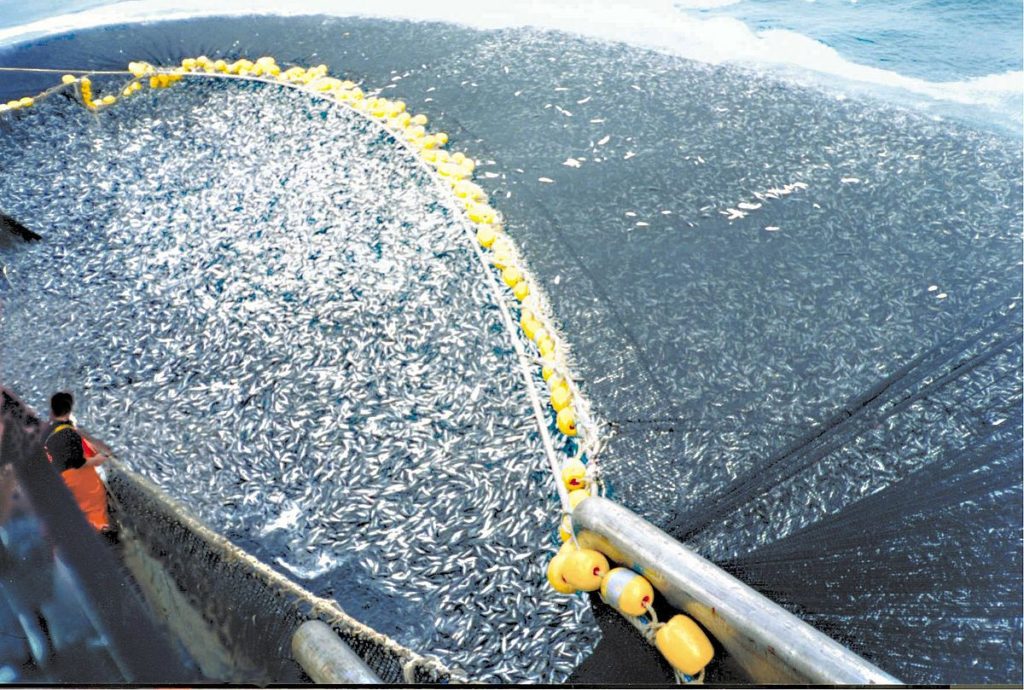 A fish boat using very large net to catch fish